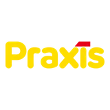 Praxis